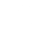 bewild collection